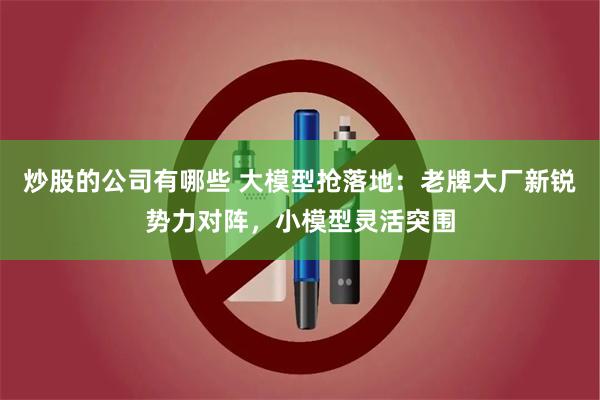 炒股的公司有哪些 大模型抢落地：老牌大厂新锐势力对阵，小模型灵活突围