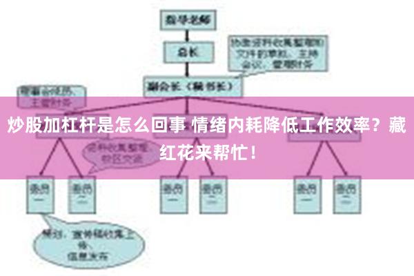 炒股加杠杆是怎么回事 情绪内耗降低工作效率？藏红花来帮忙！