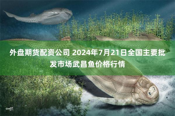 外盘期货配资公司 2024年7月21日全国主要批发市场武昌鱼价格行情