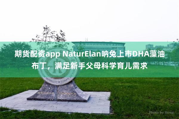 期货配资app NaturElan呐兔上市DHA藻油布丁，满足新手父母科学育儿需求