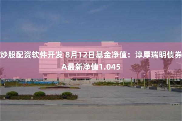 炒股配资软件开发 8月12日基金净值：淳厚瑞明债券A最新净值1.045