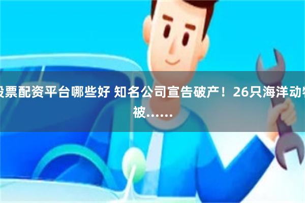 股票配资平台哪些好 知名公司宣告破产！26只海洋动物被......