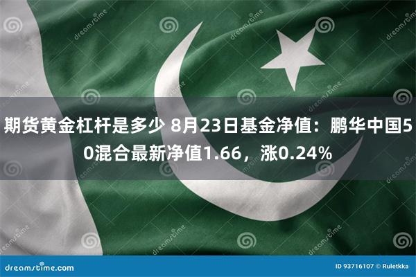 期货黄金杠杆是多少 8月23日基金净值：鹏华中国50混合最新净值1.66，涨0.24%