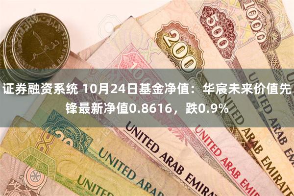 证券融资系统 10月24日基金净值：华宸未来价值先锋最新净值0.8616，跌0.9%