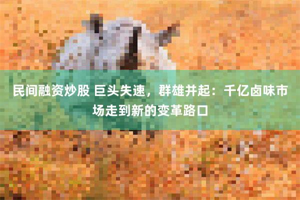 民间融资炒股 巨头失速，群雄并起：千亿卤味市场走到新的变革路口