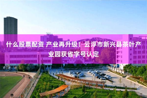 什么股票配资 产业再升级！云浮市新兴县茶叶产业园获省字号认定