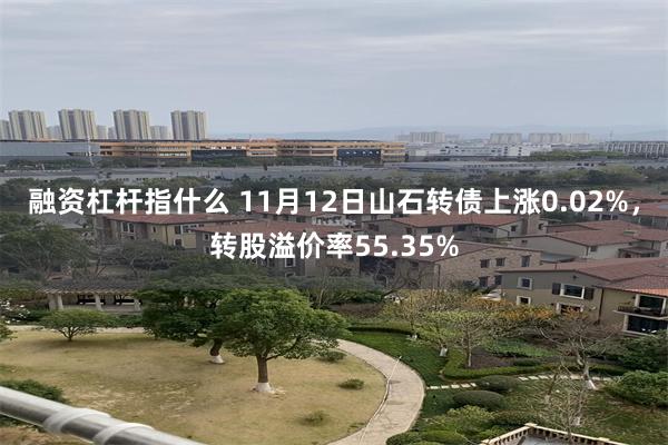 融资杠杆指什么 11月12日山石转债上涨0.02%，转股溢价率55.35%