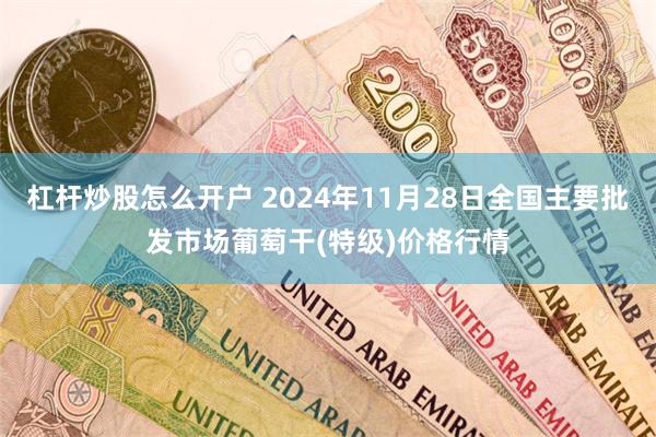 杠杆炒股怎么开户 2024年11月28日全国主要批发市场葡萄干(特级)价格行情