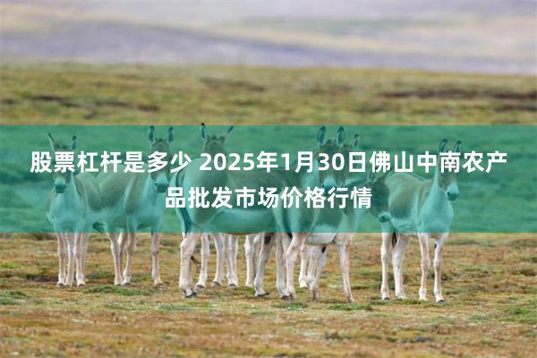 股票杠杆是多少 2025年1月30日佛山中南农产品批发市场价格行情