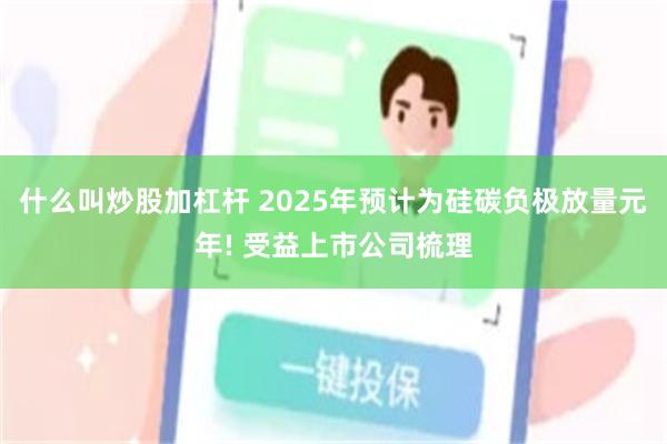 什么叫炒股加杠杆 2025年预计为硅碳负极放量元年! 受益上市公司梳理