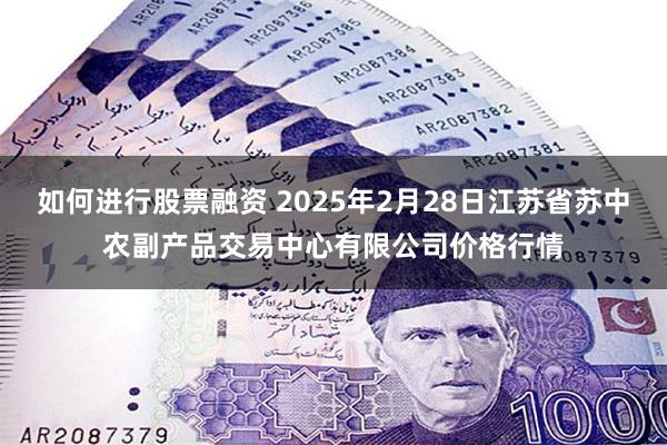 如何进行股票融资 2025年2月28日江苏省苏中农副产品交易中心有限公司价格行情