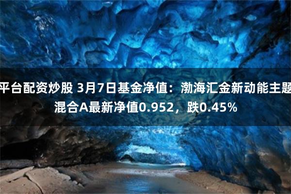 平台配资炒股 3月7日基金净值：渤海汇金新动能主题混合A最新净值0.952，跌0.45%